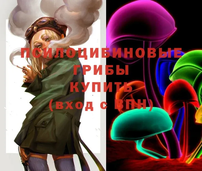 Псилоцибиновые грибы Psilocybe  Елизово 